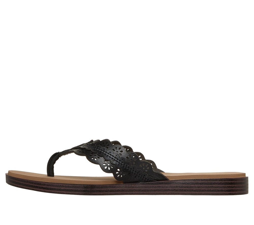 Summer Cove - Catching Sun Too!|Skechers
